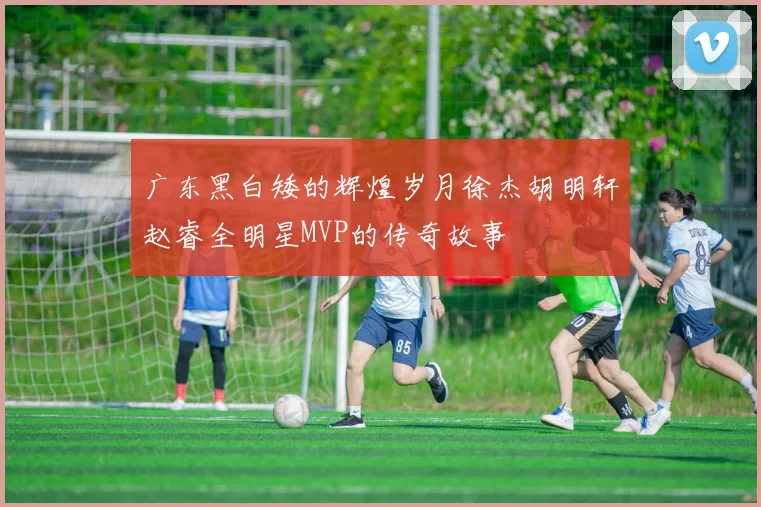 广东黑白矮的辉煌岁月徐杰胡明轩赵睿全明星MVP的传奇故事