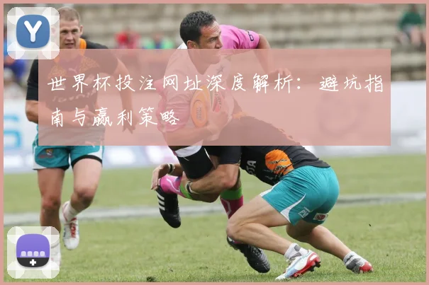 世界杯投注网址深度解析:避坑指南与赢利策略
