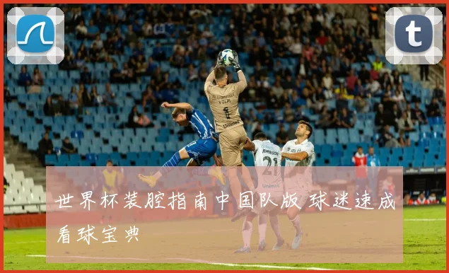 世界杯装腔指南中国队版 球迷速成看球宝典