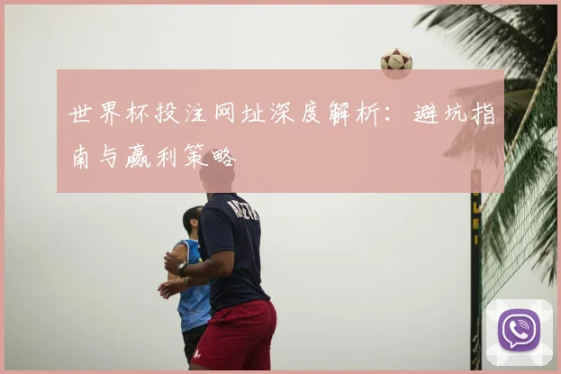 世界杯投注网址深度解析:避坑指南与赢利策略