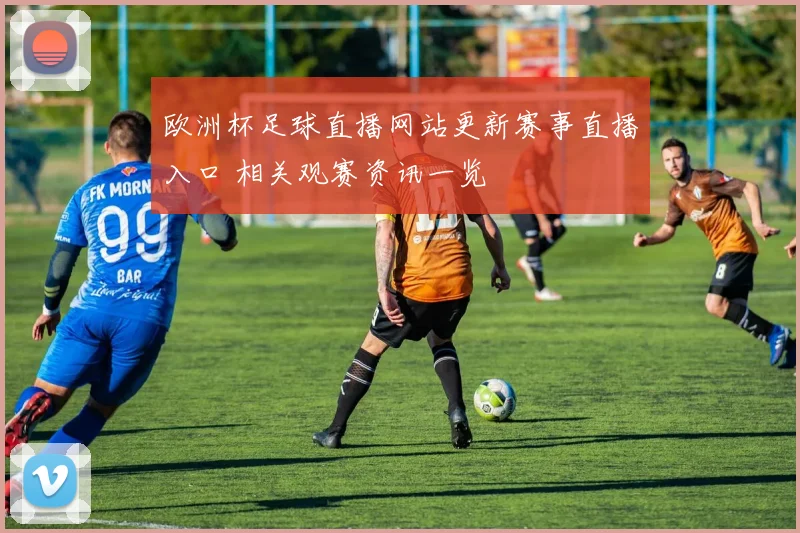欧洲杯足球直播网站更新赛事直播入口 相关观赛资讯一览