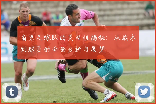 南京足球队的灵活性揭秘:从战术到球员的全面分析与展望