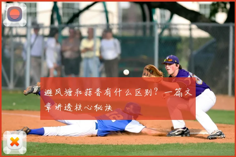避风塘和蒜香有什么区别?一篇文章讲透核心秘诀