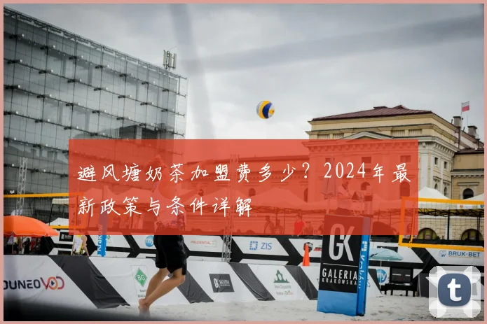 避风塘奶茶加盟费多少?2024年最新政策与条件详解