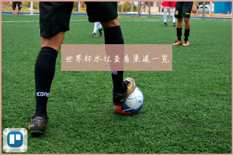 世界杯水位查看渠道一览