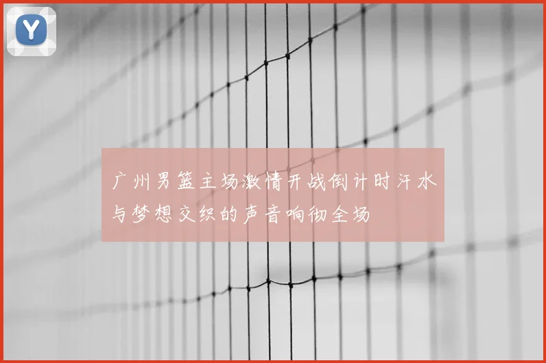 广州男篮主场激情开战倒计时汗水与梦想交织的声音响彻全场