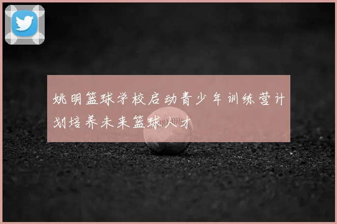 姚明篮球学校启动青少年训练营计划培养未来篮球人才