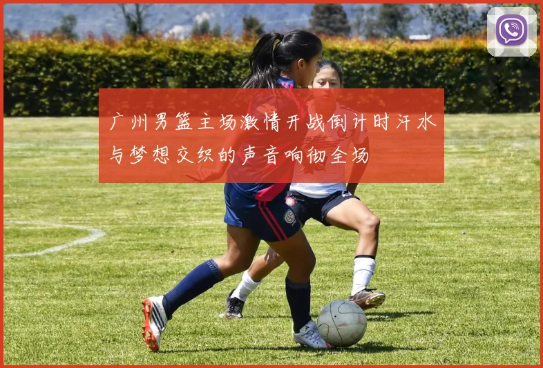 广州男篮主场激情开战倒计时汗水与梦想交织的声音响彻全场